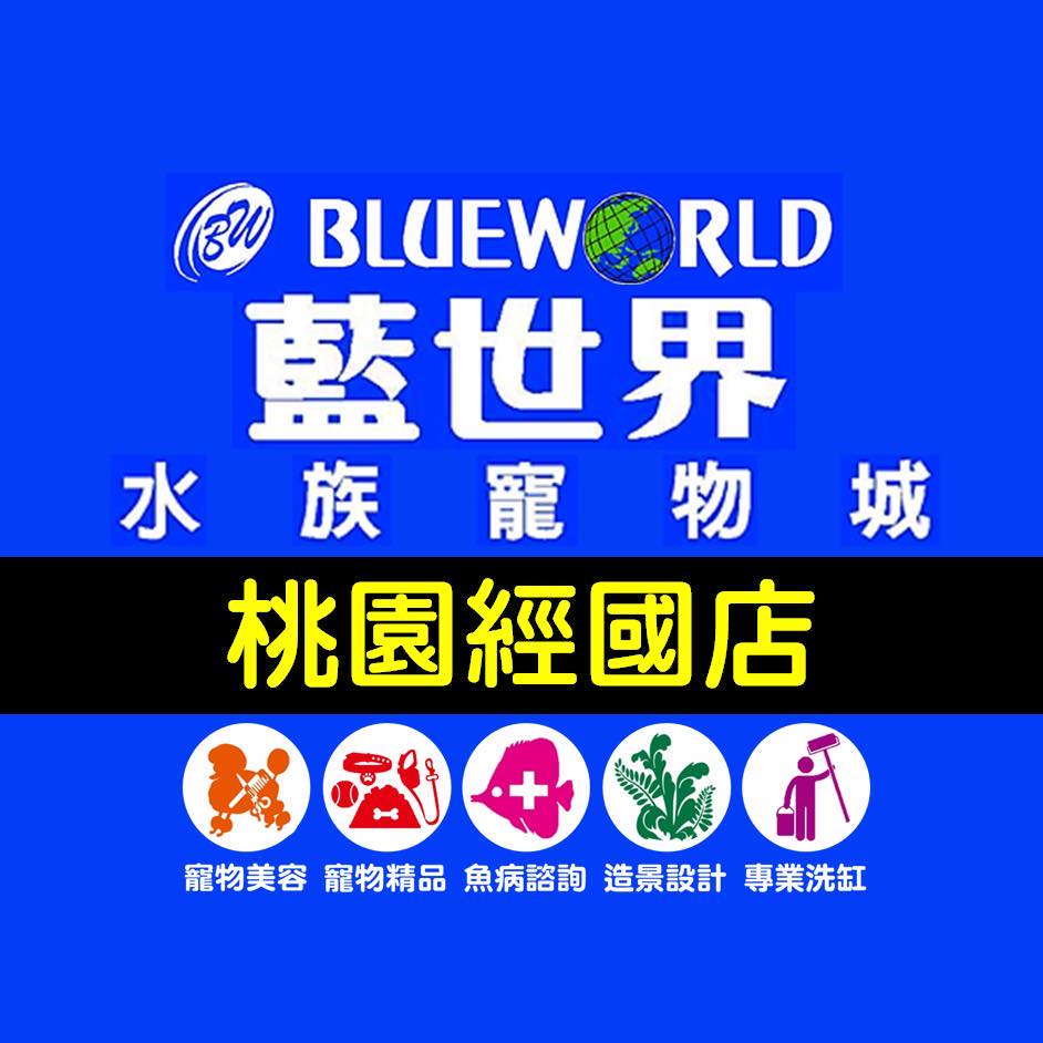 3/6 (一) 校外教學 : 藍世界水族寵物店